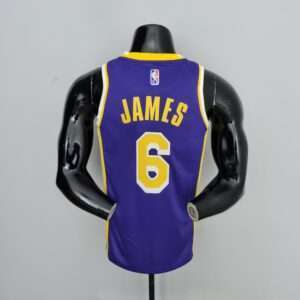 ג’יימס #6 לוס אנג’לס לייקרס ג’ורדן סגול NBA