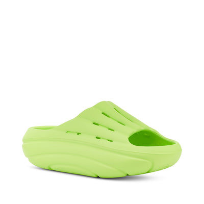 1136880 PCHR1 400x