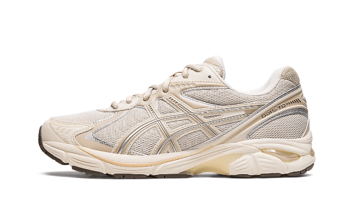 Asics GT 2160 Oatmeal 1 1