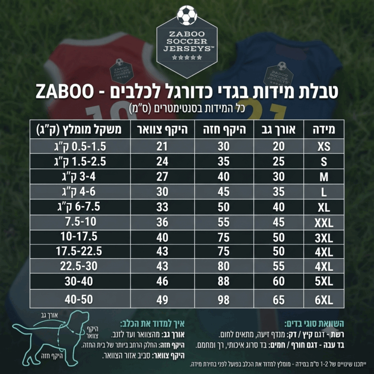 מידות כלבים